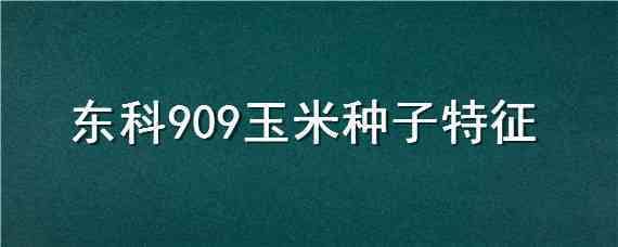 东科909玉米种子特征（东科9901玉米种子）