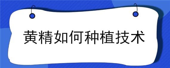 黄精如何种植技术 黄精的种植方法与技术