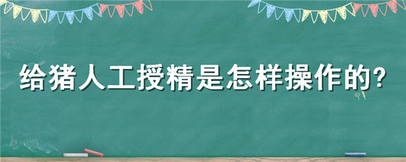 给猪人工授精是怎样操作的? 给猪人工授精是怎么操作的