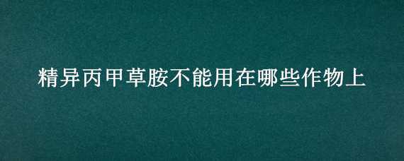 精异丙甲草胺不能用在哪些作物上 精异丙甲草胺不能用在哪些作物上使用