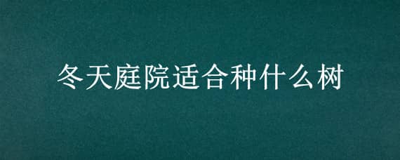 冬天庭院适合种什么树 冬天庭院适合种什么树苗