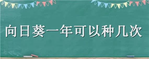 向日葵一年可以种几次（向日葵一年可以种几次呢）