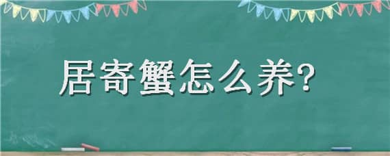 居寄蟹怎么养?（寄居蟹怎样养）