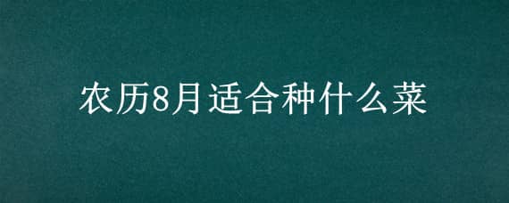 农历8月适合种什么菜（阳历八月份适合种什么菜）