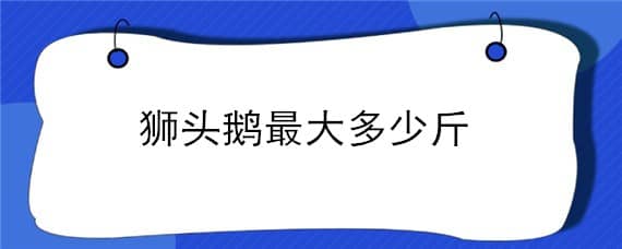 狮头鹅最大多少斤 狮头鹅最大多少斤能下蛋