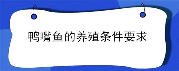 鸭嘴鱼的养殖条件要求 鸭嘴鱼适应哪个地方养