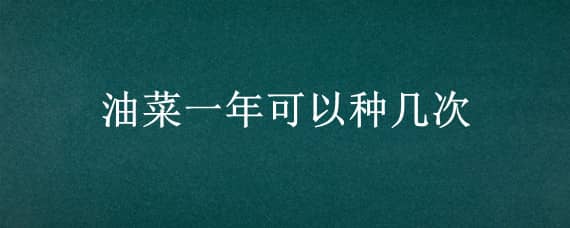 油菜一年可以种几次 油菜一年可以种几次花