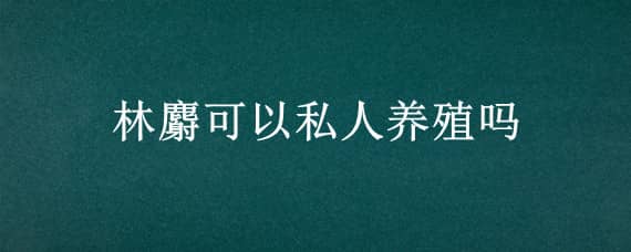 林麝可以私人养殖吗 林麝私人能养吗