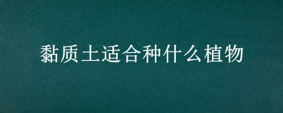 黏质土适合种什么植物 黏质土壤适合种什么植物