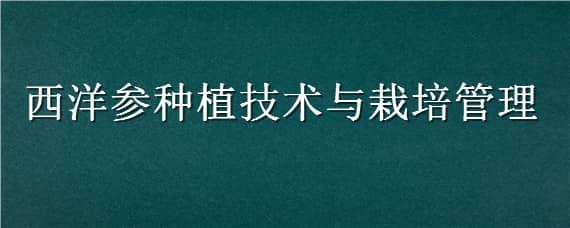 西洋参种植技术与栽培管理（西洋参种植技术与栽培管理规范）