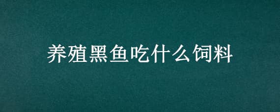 养殖黑鱼吃什么饲料 养殖黑鱼喂什么饲料