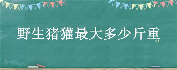 野生猪獾最大多少斤重（野生狗獾最大多少斤重）