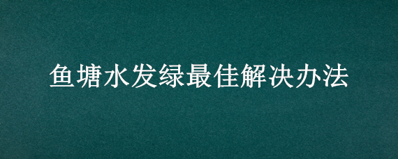 鱼塘水发绿最佳解决办法 鱼塘水发绿最佳解决办法图片