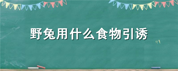 野兔用什么食物引诱（野兔喜欢吃什么诱饵）