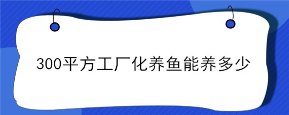 300平方工厂化养鱼能养多少（300平方工厂化养鱼能养多少工厂化养鱼）