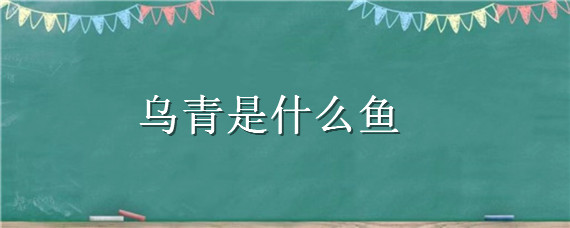 乌青是什么鱼（青乌鱼图片）