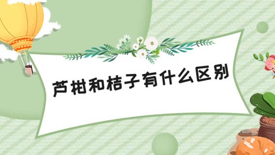 芦柑和桔子有什么区别 芦柑和桔子有什么区别功效如何用途怎么用