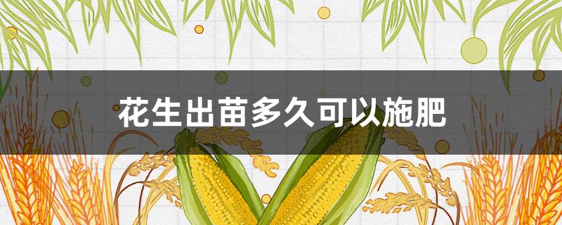 花生出苗多久可以施肥（花生出苗多久可以施肥啊）