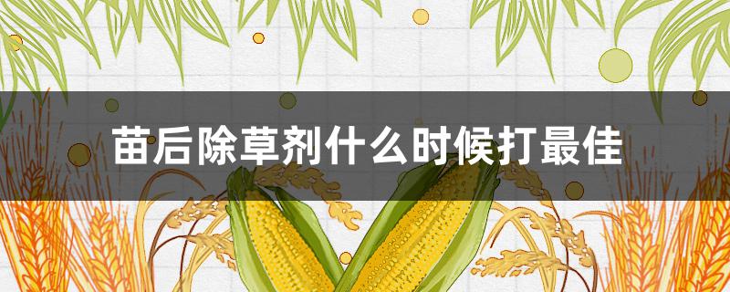 苗后除草剂什么时候打最佳（苗后除草剂什么时候打最好）