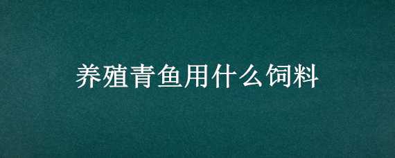 养殖青鱼用什么饲料 养殖青鱼用什么饲料喂