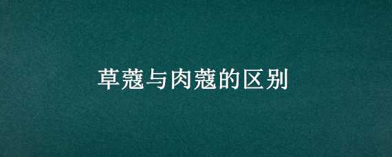 兰花种植方法注意事项 兰花种植方法注意事项视频