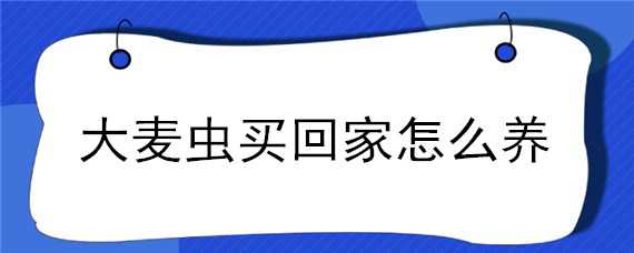 大麦虫买回家怎么养 大麦虫买回家怎么养活