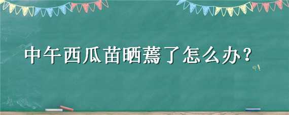 中午西瓜苗晒蔫了怎么办 中午西瓜苗晒蔫了怎么办呢