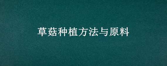 草菇种植方法与原料 草菇种植方法与原料配比