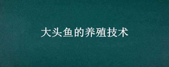 大头鱼的养殖技术 大头鱼的养殖技术与管理