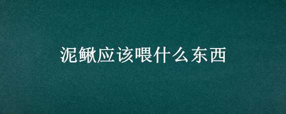 泥鳅应该喂什么东西 泥鳅应该喂什么东西好