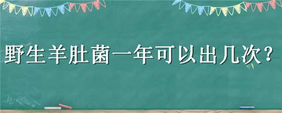 野生羊肚菌一年可以出几次（野生羊肚菌几天能出来）