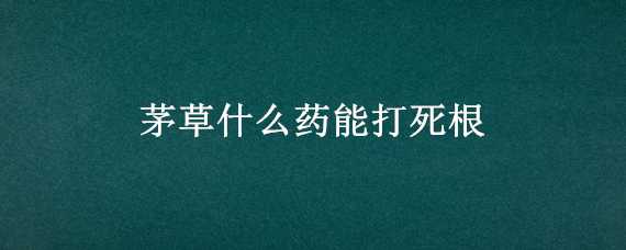 茅草什么药能打死根（茅草打什么药去根）