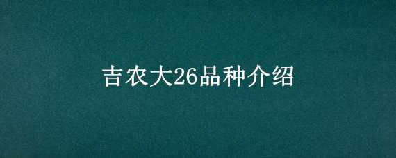 吉农大26品种介绍 吉农大26玉米品种