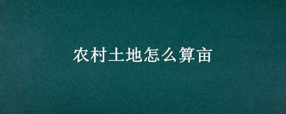 农村土地怎么算亩（农村土地怎么算亩数多少）