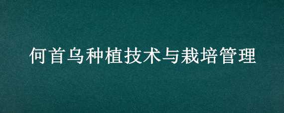 何首乌种植技术与栽培管理 何首乌种植基地