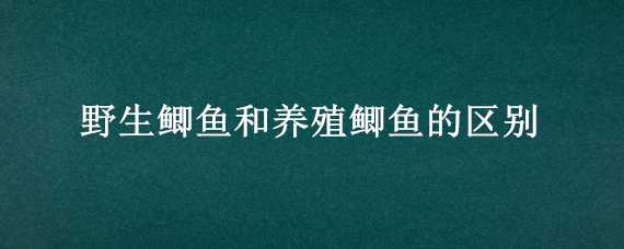 野生鲫鱼和养殖鲫鱼的区别（野生鲫鱼和养殖鲫鱼的区别图片）