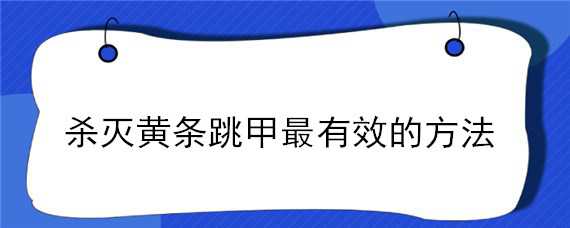 杀灭黄条跳甲最有效的方法（黄条跳甲危害特点）