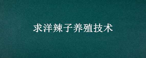 求洋辣子养殖技术 洋辣子养殖方法