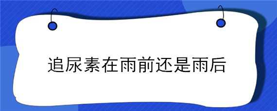 追尿素在雨前还是雨后 追完尿素下雨了能好吗