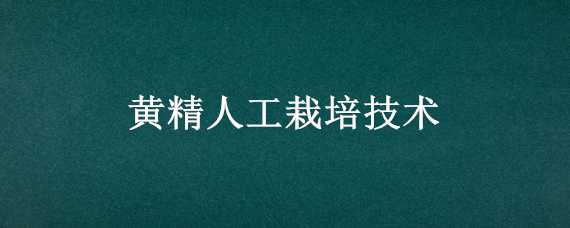 黄精人工栽培技术 黄精人工栽培技术视频