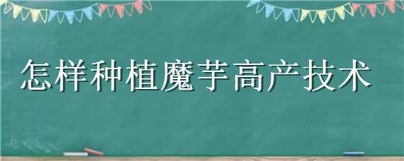 怎样种植魔芋高产技术 怎样种植魔芋高产技术好