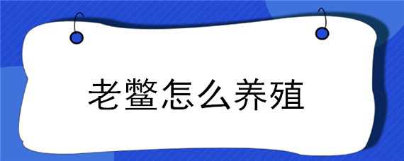 老鳖怎么养殖（老鳖怎么养殖方法）