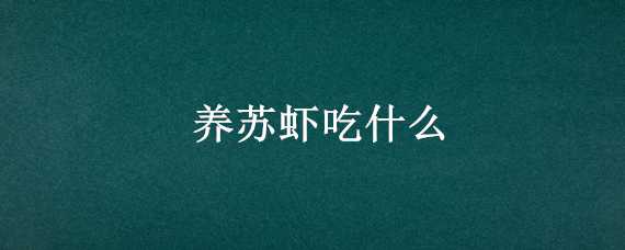 养苏虾吃什么（苏虾吃什么食物）