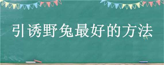 引诱野兔最好的方法（逮野兔用什么做诱饵最好）