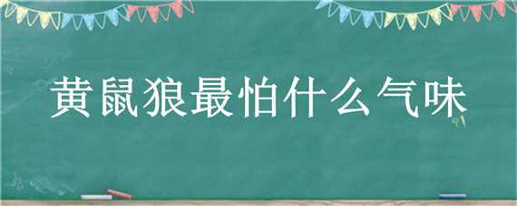 黄鼠狼最怕什么气味（黄鼠狼最怕什么气味?真实的）