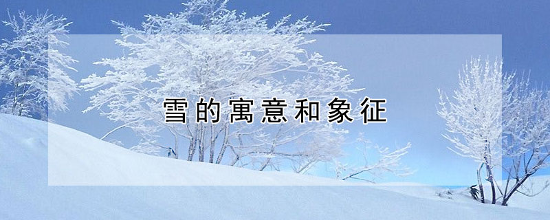 雪的寓意和象征 冰墩墩的寓意和象征