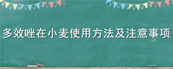 多效唑在小麦使用方法及注意事项 小麦何时喷多效唑