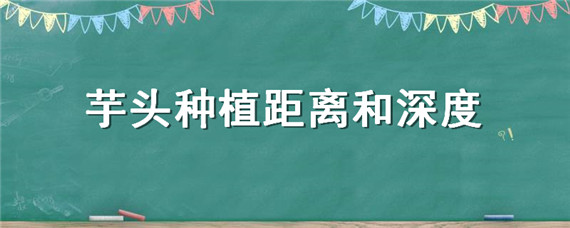 芋头种植距离和深度 芋头种植株行距