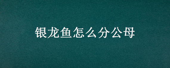 银龙鱼怎么分公母 银龙鱼怎么分公母视频