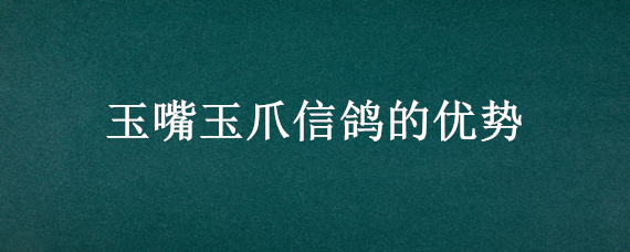 玉嘴玉爪信鸽的优势 玉爪信鸽好不好